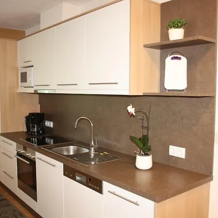Haus Rene Apartment